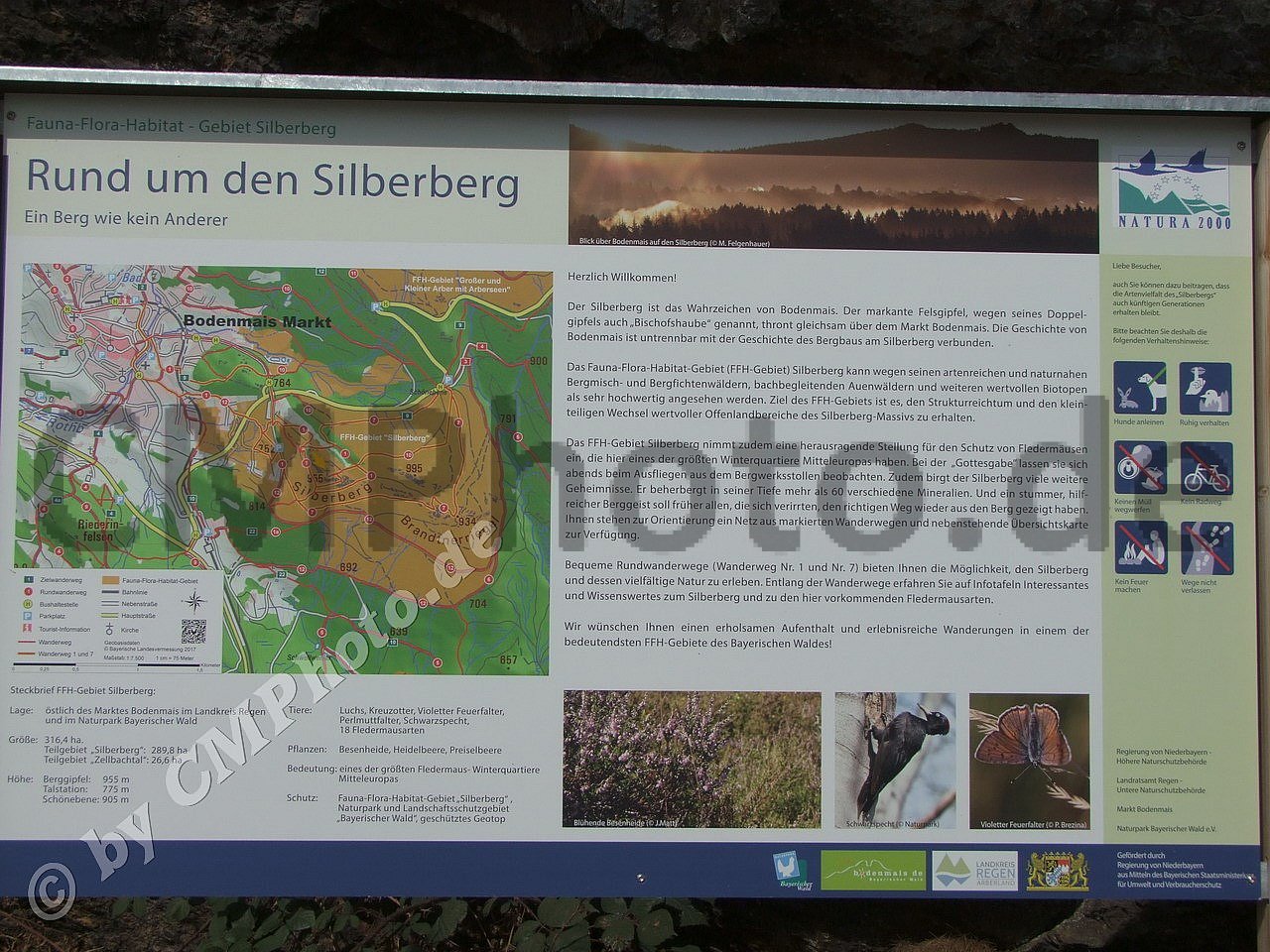 2018 - September - Silberberg